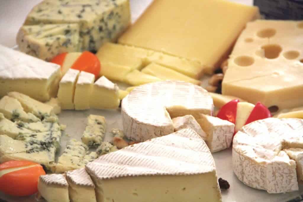 El queso puede ser una pieza clave para el metabolismo más rápido y de larga vida, según estudio 1 El queso puede ser una pieza clave para el metabolismo más rápido y de larga vida, según estudio