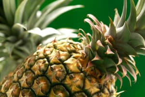 La piña adelgaza o engorda?