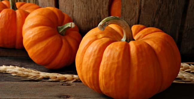 12 Beneficios de la Calabaza - Para Que Sirve y Propiedades 1 12 Beneficios de la Calabaza - Para Que Sirve y Propiedades 1