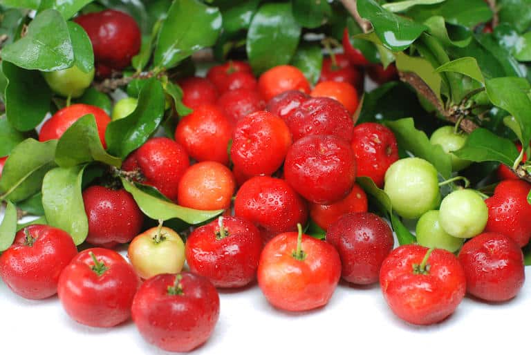 11 Beneficios de la acerola - Para que sirve y propiedades 1 11 Beneficios de la acerola - Para que sirve y propiedades