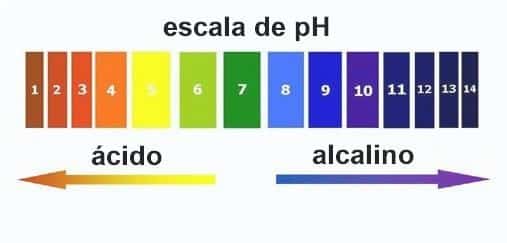 El agua Alcalina, que es Diferente, la Dieta, tales Como la Preparación y a Dónde se puede Comprar 2 el agua alcalina-escalapH