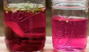El agua de la Remolacha para Adelgazar? Los beneficios y Consejos