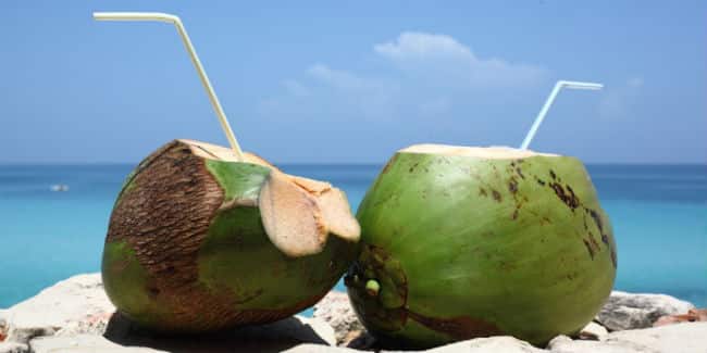 El agua de Coco Engorda o Adelgaza? 1 El agua de Coco Engorda o Adelgaza? 1