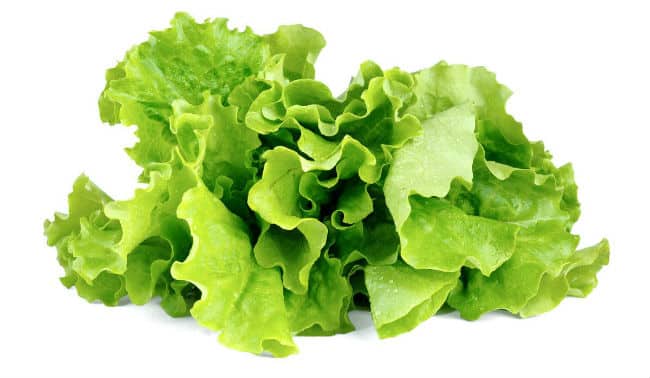 La Dieta de la Lechuga Para Adelgazar - Cómo Funciona y Consejos 1 La Dieta de la Lechuga Para Adelgazar - Cómo Funciona y Consejos 1