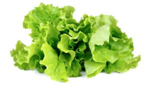 Comer Lechuga Da Sueño?