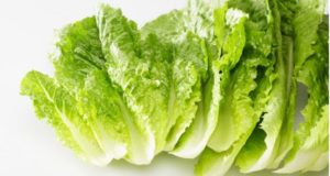 9 Beneficios de la lechuga – Para que sirve y propiedades