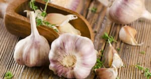5 Mejores alimentos antifúngicos