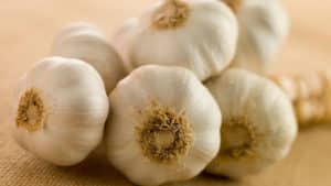 Dieta del Ajo – ¿Cómo Funciona, Menús y Consejos