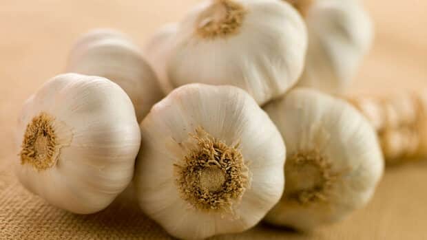 Dieta del Ajo - ¿Cómo Funciona, Menús y Consejos 1 Dieta del Ajo - ¿Cómo Funciona, Menús y Consejos 1