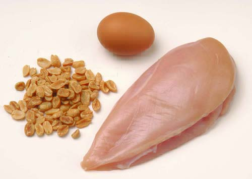 8 Beneficios de la Vitamina B3 - Para Que Sirve y Fuentes 1 8 Beneficios de la Vitamina B3 - Para Que Sirve y Fuentes 1