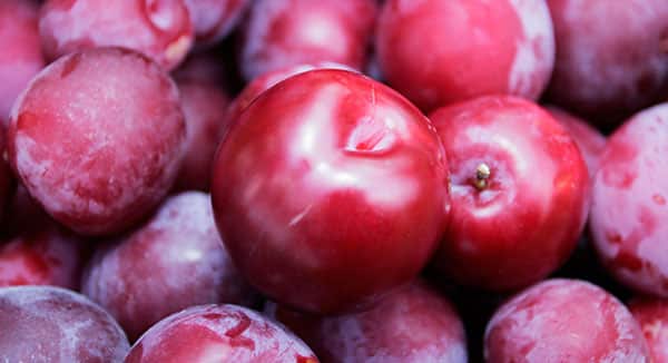 8 Beneficios de la Ciruela - Para Que Sirve y Propiedades 1 8 Beneficios de la Ciruela - Para Que Sirve y Propiedades 1