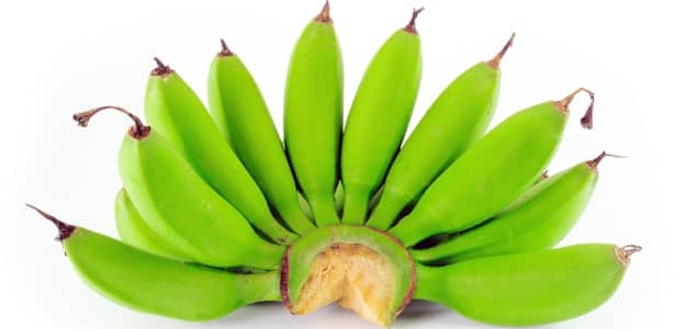 Almidón Resistente Adelgaza? El Que es, Alimentos y Consejos 1 Almidón Resistente Adelgaza? El Que es, Alimentos y Consejos 1