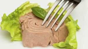 La Dieta del Atún: Cómo Funciona, Menús y Consejos