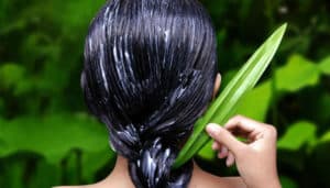 El aloe vera en el Cabello es Bueno? Beneficios y Cómo Utilizar