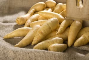 Patata Baroa engorda o adelgaza?