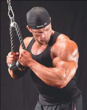 Culturista Ben Pakulski - Dieta, Entrenamiento, Medidas, Fotos y Vídeos 4 Ben Pakulski triceps