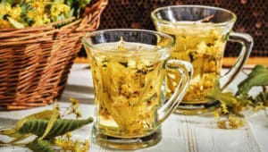 7 Beneficios de la carqueja - Para que sirve y propiedades