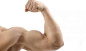 11 Ideas de entrenamiento ABC para hipertrofia