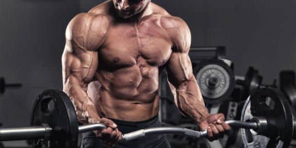 Los Pesos Son los Mejores para aumentar la masa muscular a ti Mismo? 1 Los Pesos Son los Mejores para aumentar la masa muscular a ti Mismo? 1
