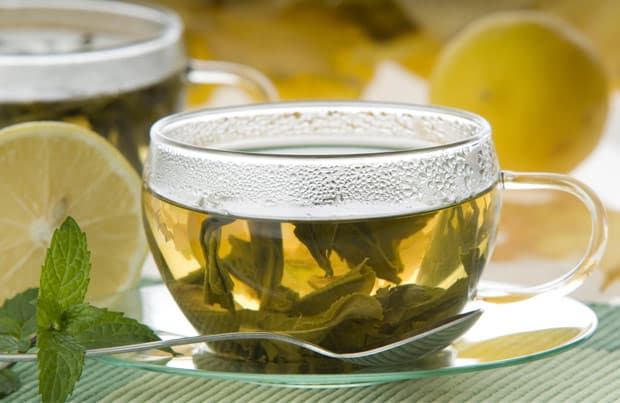 Hoja de Boldo Adelgaza? Para Que Sirve, Té y Consejos 1