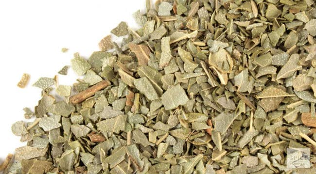 10 Beneficios del boldo-de-Chile - Para que sirve y indicaciones 1 10 Beneficios del boldo-de-Chile - Para que sirve y indicaciones