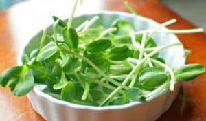 7 Beneficios del Brote de Girasol – Recetas y Consejos