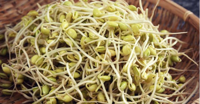 6 Recetas de brote de soja - Beneficios y cómo hacer 1 6 Recetas de brote de soja - Beneficios y cómo hacer