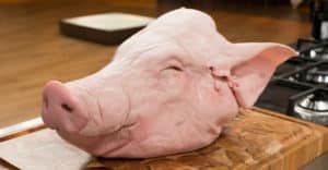 Cabeza de Cerdo, el Ácido Ascórbico y Otros Hacen Mal Mismo?