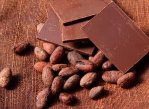 Teobromina: ¿Qué es, Para Qué Sirve y Efectos, así como los Alimentos con alto contenido