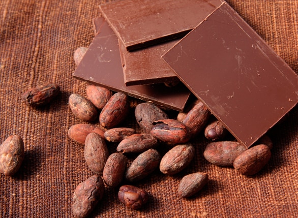 Teobromina: ¿Qué es, Para Qué Sirve y Efectos, así como los Alimentos con alto contenido 1 Teobromina: ¿Qué es, Para Qué Sirve y Efectos, así como los Alimentos con alto contenido 1