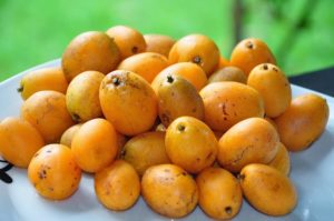 10 Beneficios del Cajá - Para que sirve y propiedades