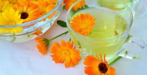Caléndula – ¿Qué es, Para Qué Sirve, Té y Propiedades