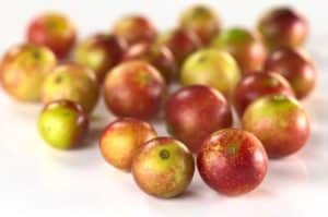 17 Beneficios del Camu Camu - Para que sirve? y propiedades