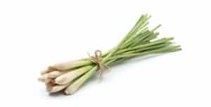 18 Beneficios de la Hierba Limón – El Que es y Para Que Sirve