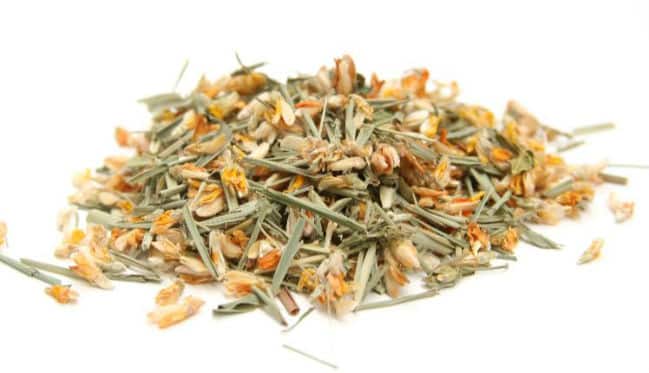 Cómo Hacer Té de Carqueja - Ingresos, Beneficios y Consejos 1 Cómo Hacer Té de Carqueja - Ingresos, Beneficios y Consejos 1