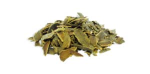 Cascara Sagrada Adelgaza?