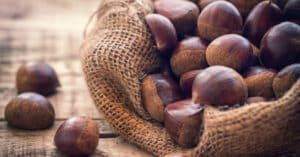 10 Recetas con Castañas Portuguesa – Light y Deliciosas