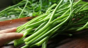 Tallos Comestibles y Sus Beneficios, Tipos, Recetas y Consejos