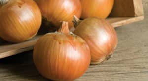 ¿La cebolla mala es buena para la gastritis?