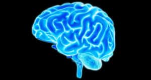 Exceso de Grasa en el Vientre Puede Hacer que tu Cerebro se Encoge, Dice Estudio
