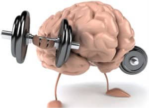 Cómo Funciona la Memoria Muscular