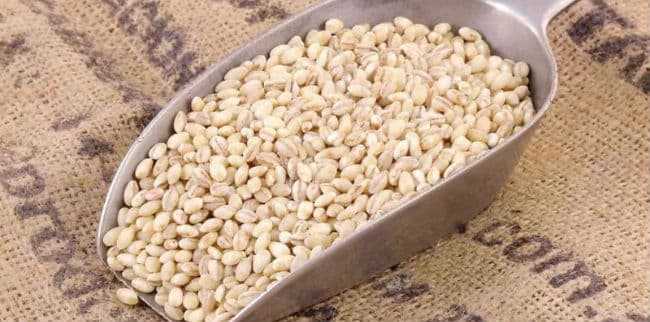 9 Beneficios de la Cevadinha - Recetas, Como Hacer, Propiedades y Consejos 1 9 Beneficios de la Cevadinha - Recetas, Como Hacer, Propiedades y Consejos 1
