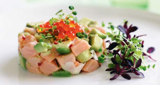 6 Recetas de Ceviche de Salmón Light 1 6 Recetas de Ceviche de Salmón Light 1