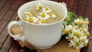 Té de Manzanilla Adelgaza? Consejos y Beneficios