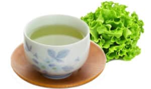 Cómo Hacer Té de Lechuga – Ingresos, Beneficios y Consejos