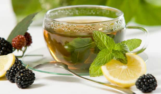 Cómo Hacer Té de Moras Recetas y Consejos 1 Cómo Hacer Té de Moras Recetas y Consejos 1