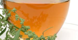 12 Beneficios de la Artemisia – El Que es y Para Que Sirve