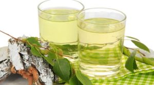 Té de Abedul - ¿Qué es, para qué sirve y beneficios
