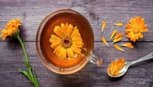 12 Beneficios del Té de Caléndula – Para Que Sirve y Como Hacer
