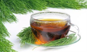Cómo hacer té de cola de caballo - Ingresos, beneficios y consejos